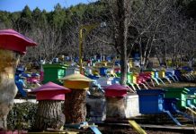 Skema kombëtare, subvencion deri 150 mijë lekë subjekteve në bletari