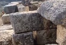 Zbulim i rrallë prane fshatit Ploce ne Vlore, varr herbe që daton në shekullin II-III