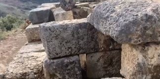 Zbulim i rrallë prane fshatit Ploce ne Vlore, varr herbe që daton në shekullin II-III