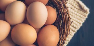 Çfarë Duhet Të Dini Për Ruajtjen e Vezëve – Mënyra Më e Mirë