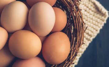 Çfarë Duhet Të Dini Për Ruajtjen e Vezëve – Mënyra Më e Mirë