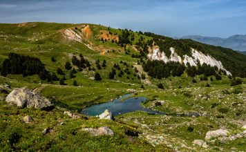Përmirësimi i jetesës përmes ruajtjes së biodiversitetit të parkut natyror Korab-Koritnik, trajnohen 100 gra fermere dhe dhjetëra të rinj