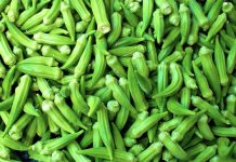 Bamja – Vlera të Rralla për të Gjithë Organizmin