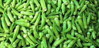 Bamja – Vlera të Rralla për të Gjithë Organizmin