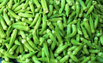 Bamja – Vlera të Rralla për të Gjithë Organizmin