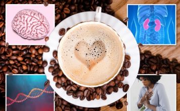 Pini kafe dhe zemra, truri, mëlçia dhe ADN-ja do t’ju falënderojnë