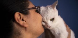 Kafshët shtëpiake janë një nga motivimet më të mëdha për të lënë duhanin