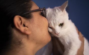 Kafshët shtëpiake janë një nga motivimet më të mëdha për të lënë duhanin