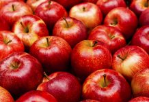 Era e Keqe e Gojës – Çfarë e Shkakton dhe Ushqimet që e Largojnë