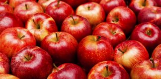 Era e Keqe e Gojës – Çfarë e Shkakton dhe Ushqimet që e Largojnë