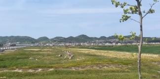 Së shpejti, Durrësi me pol sportiv të nivelit ndërkombëtar