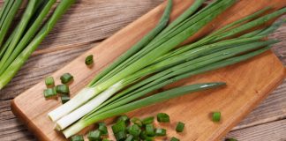 Qepët e Njoma – Të Pazëvendësueshme në Pranverë