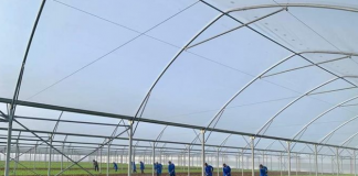 Skema Kombëtare në Bujqësi, mbi 68 mijë aplikime