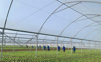 Skema Kombëtare në Bujqësi, mbi 68 mijë aplikime