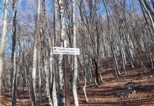 Sinjalistikë shtigjeve mjedisore në parqet kombëtare