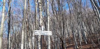 Sinjalistikë shtigjeve mjedisore në parqet kombëtare