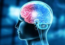 Ekspertja e Harvardit tregon vitaminën më të mirë për trurin