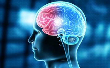 Ekspertja e Harvardit tregon vitaminën më të mirë për trurin