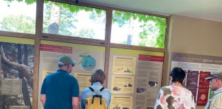 Biologë dhe botanistë gjermanë, interes për parkun Divjakë-Karavasta