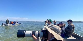 Vrojtimi i shpendëve, turistët anglezë vizitojnë Divjakën