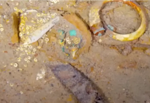 Kompania me hartën 3D zbulon fosilin e Megalodon poshtë rrënojave të Titanic