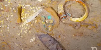 Kompania me hartën 3D zbulon fosilin e Megalodon poshtë rrënojave të Titanic