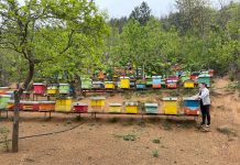 Mbi 2000 kontrolle në kuadër të Skemës Kombëtare të Mbështetjes 2023