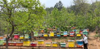 Mbi 2000 kontrolle në kuadër të Skemës Kombëtare të Mbështetjes 2023