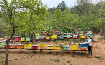 Mbi 2000 kontrolle në kuadër të Skemës Kombëtare të Mbështetjes 2023