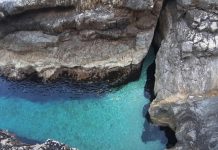 Barriera koralore e grykës së djallit në Sazan, monument natyror