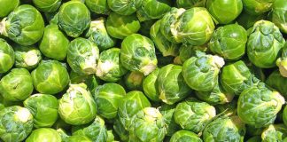 Perimet më të Mira për Diabetikët