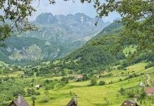 Alpet, mbi 1600 lloje bimësh në habitatet e pasura me pyje e livadhe