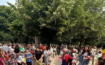 Panair festiv për traditën shkodrane të kultivimit të luleve