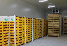 Pikat e grumbullimit, domosdoshmëri për lehtësimin e fermerëve