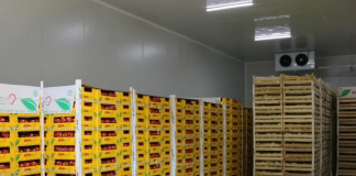 Pikat e grumbullimit, domosdoshmëri për lehtësimin e fermerëve