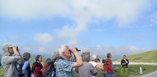 Turizmi i vrojtimit të shpendëve, vizitorët gjermanë njihen me Parkun e Prespës