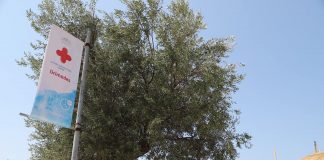 Hapen në 15 qershor 30 qendra shëndetësore verore