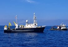 Shqipëria, vendi i parë në Mesdhe që plotëson kuotën e peshkimit të tonit