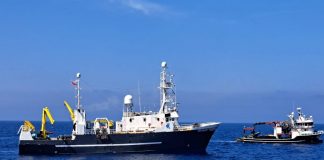 Shqipëria, vendi i parë në Mesdhe që plotëson kuotën e peshkimit të tonit