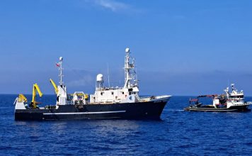 Shqipëria, vendi i parë në Mesdhe që plotëson kuotën e peshkimit të tonit