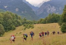 Dita Botërore e Mjedisit