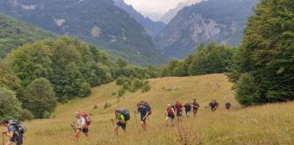 Dita Botërore e Mjedisit