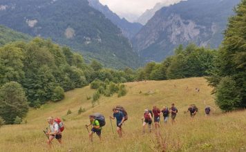 Dita Botërore e Mjedisit