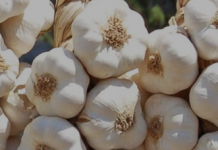 Si të Ruani Hudhrat me Këto Metoda Interesante