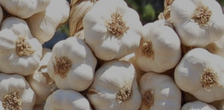 Si të Ruani Hudhrat me Këto Metoda Interesante