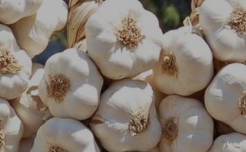 Si të Ruani Hudhrat me Këto Metoda Interesante