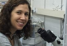 Zbulimi i Izraelit ofron shpresë për fëmijët epileptikë