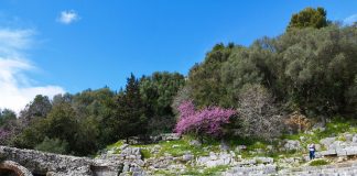 Parqet arkeologjike, 88 857 vizitorë në pesë muajt e parë të 2023