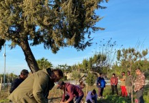 MBZHR: Trajnimet në Bujqësi e Blegtori, fuqizim i zonave rurale përmes inovacionit