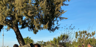 MBZHR: Trajnimet në Bujqësi e Blegtori, fuqizim i zonave rurale përmes inovacionit